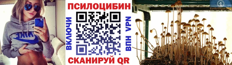 Псилоцибиновые грибы мицелий  блэк спрут ССЫЛКА  Нерчинск 