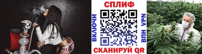 где найти наркотики  Нерчинск  МАРИХУАНА ГИДРОПОН 